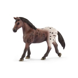Φοράδα Appaloosa