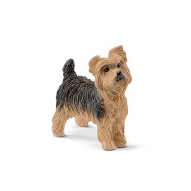 Σκυλάκι Yorkshire Terrier