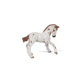 Πουλάρι Appaloosa