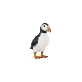 Puffin