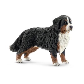 Σκύλος Βουνού Bernese