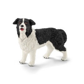 Σκύλος Broder Collie