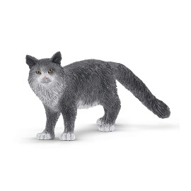 Γάτα Main Coon