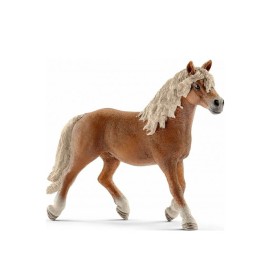 Ίππος Haflinger